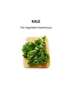 Kale, The Vegetable Powerhouse
