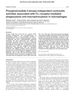 Phosphoinositide-3-kinase-independent contractile activities