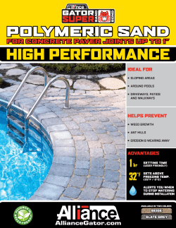 FOR CONCRETE PAVER JOINTS UP TO 1