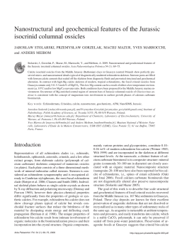 Nanostructural and geochemical features of the Jurassic isocrinid
