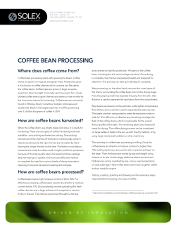 COFFEE BEAN PROCESSING