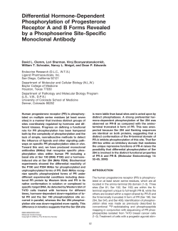 Differential Hormone-Dependent Phosphorylation of Progesterone