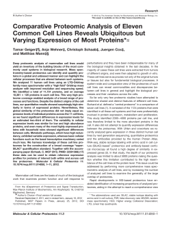 Comparative Proteomic Analysis of Eleven Common Cell Lines