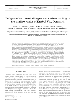 Budgets of sediment nitrogen and carbon cycling in the shallow