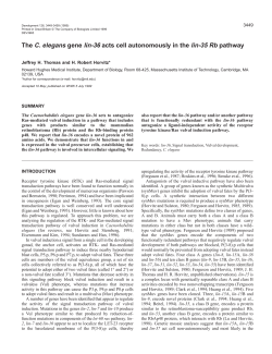 lin-36 acts cell autonomously