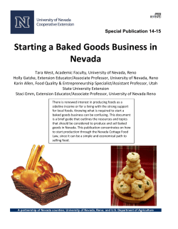 Starting a Baked Goods Business in Nevada