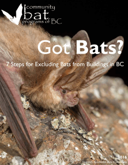 7 Steps to Exclude Bats from Buildings Full Booklet for Homeowners