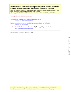 on the neural drive to muscle in essential tremor Influence