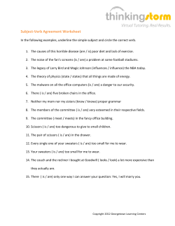 Subject-Verb Agreement Worksheet