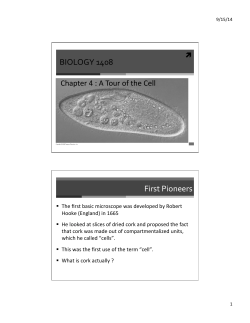 Chapter 4: Intro to the Cell