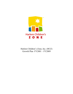 Harlem Children`s Zone Business Plan
