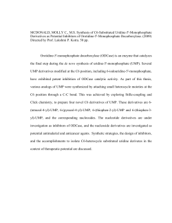 Synthesis of C6-Uridine Derivatives with Potential Inhibition of
