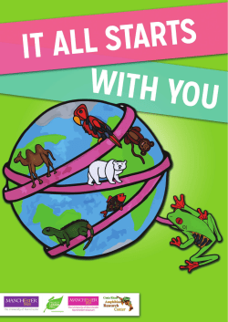 Learning with Lucy activity booklet