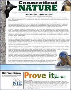 Connecticut - NIEonline.com