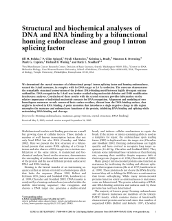 Structural and biochemical analyses of DNA and RNA binding by a