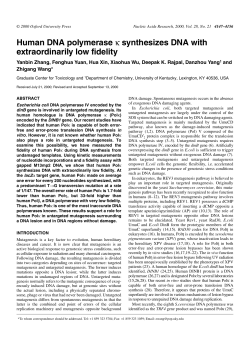Human DNA polymerase - Nucleic Acids Research