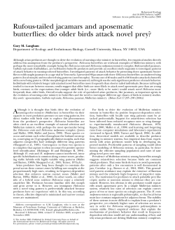 Rufous-tailed jacamars and aposematic butterflies