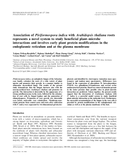 Association of Piriformospora indica with Arabidopsis thaliana roots