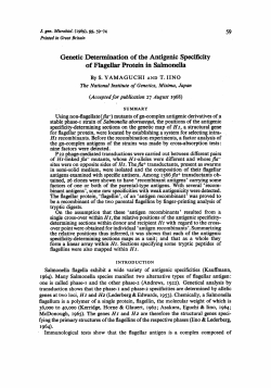 Genetic Determination of the Antigenic Specificity of