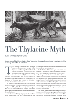 The Thylacine Myth