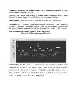 Taxonomic description and Genome sequence of Rheinheimera