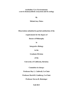 Anchialine Cave Environments: a novel chemosynthetic ecosystem