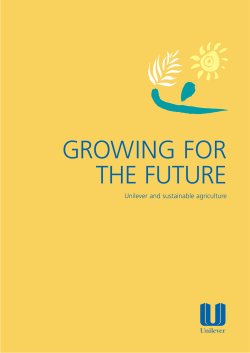 Growing for the Future: Unilever and Sustainable Agriculture (1999)