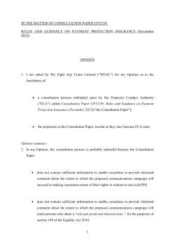 Stephen Knafler Opinion PDF