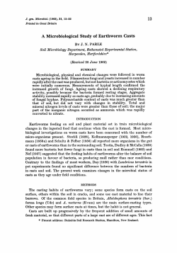 A Microbiological Study of Earthworm Casts