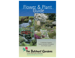 Flower Plant Guide