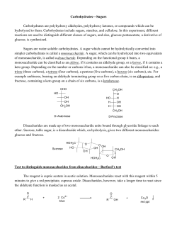 Ex 5 Sugars Lab 2