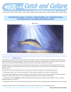 THE MEKONG GIANT CATFISH: A NEW SYMBOL OF