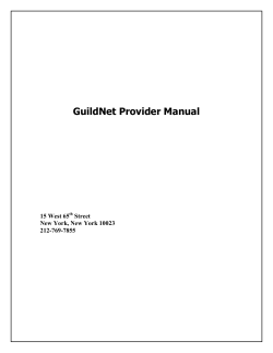GuildNet Provider Manual