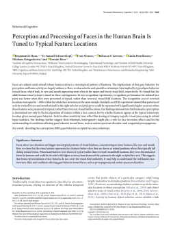 Perception and Processing of Faces in the Human Brain Is Tuned to