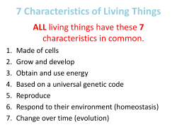 7 Characteristics of Living Things