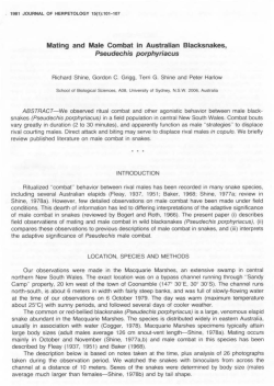 Mating and Male Combat in Australian Blacksnakes