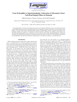 Fabrication of Micrometer-Sized Nail-Head
