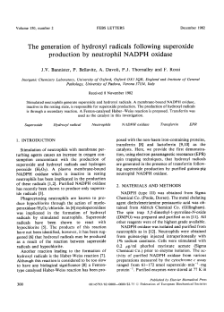 The generation of hydroxyl radicals following