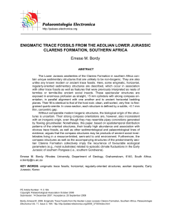 Palaeontologia Electronica ENIGMATIC TRACE FOSSILS FROM
