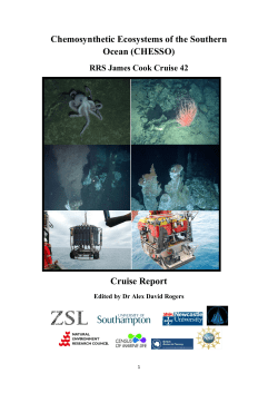 Chemosynthetic Ecosystems of the Southern Ocean (CHESSO