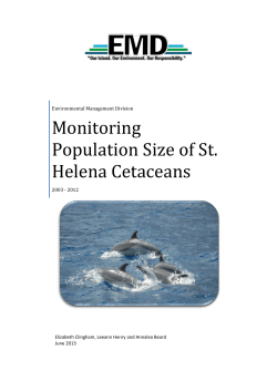 Monitoring population size of St. Helena Cetaceans