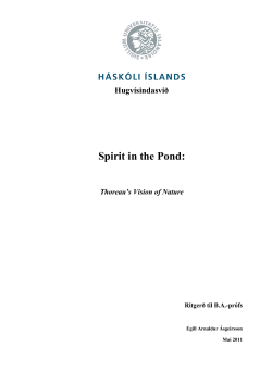 Spirit in the Pond