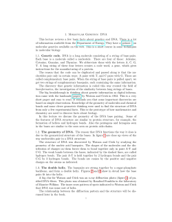 Molecular Genetics:DNA