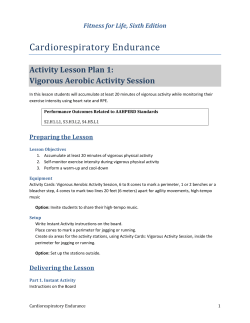 Activity Lesson Plan 1