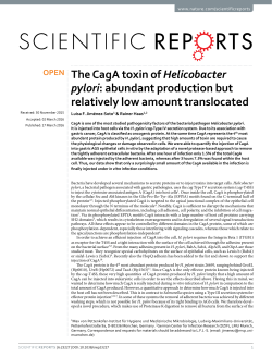 The CagA toxin of Helicobacter pylori: abundant production but