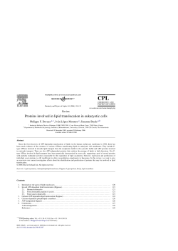 Proteins involved in lipid translocation in eukaryotic cells