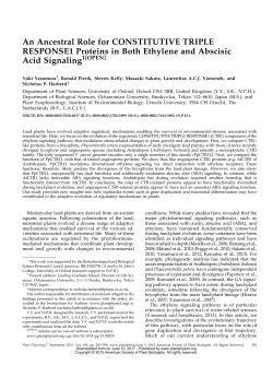An Ancestral Role for CONSTITUTIVE TRIPLE