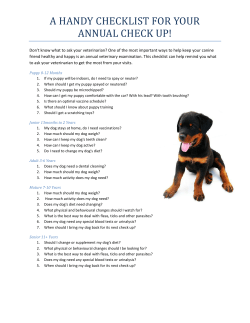 Dog Check Up Questions