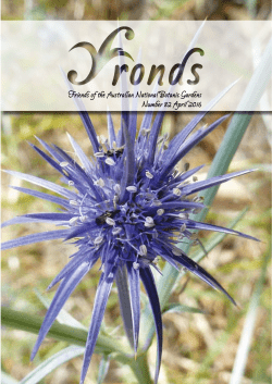 Friends of the Australian National Botanic Gardens Number 82 April