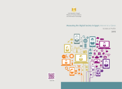 Measuring the Digital Society in Egypt: Internet at a